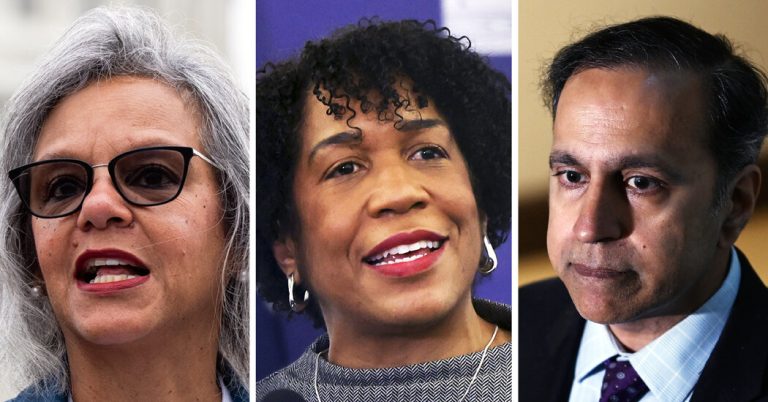 In Illinois Senate Race, Old Grudges and a Test of Pritzker’s Power